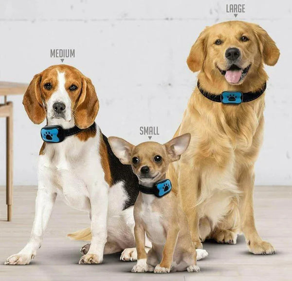 Rechargeable Anti Bark Dog Training Collar